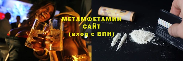 индика Дмитров